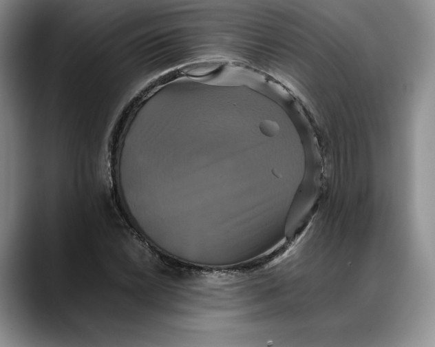 X0000088481022200706121527