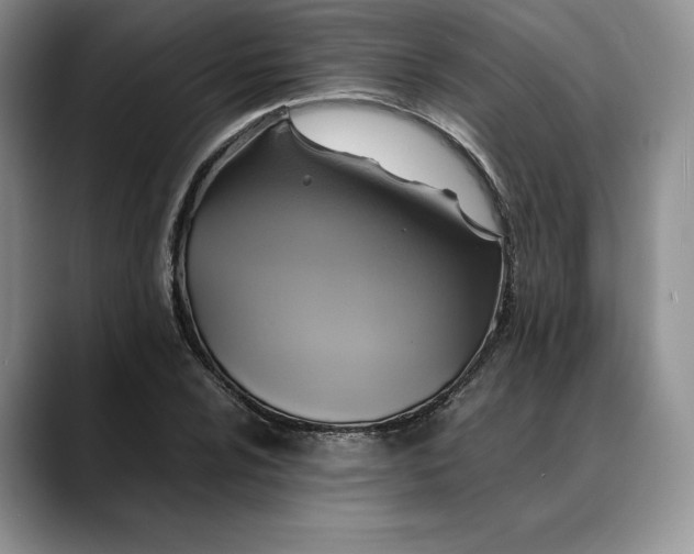 X0000088481024200706121527