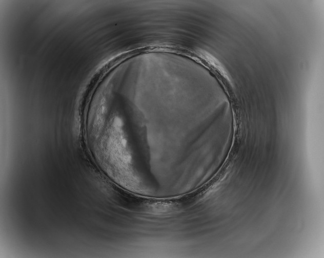 X0000088481027200706121527