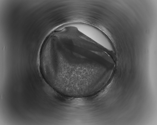 X0000088481028200706121527