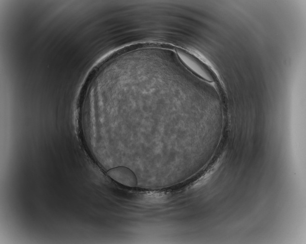 X0000088481029200706121527