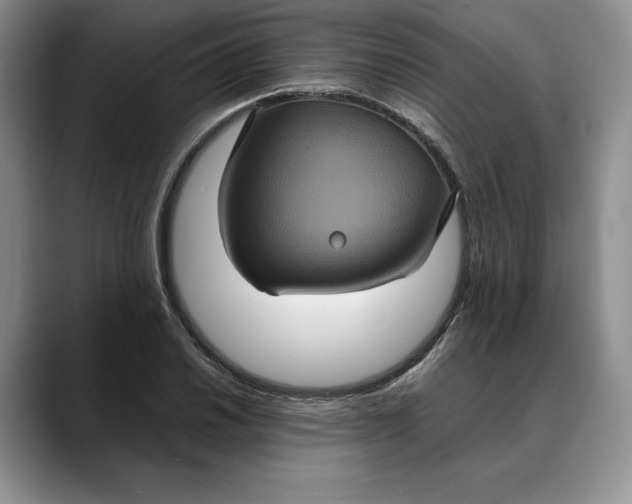 X0000088481030200706121527