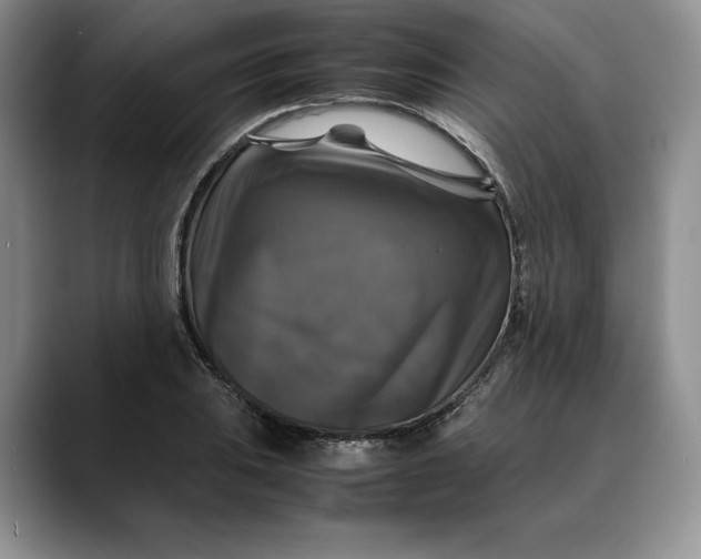 X0000088481031200706121527