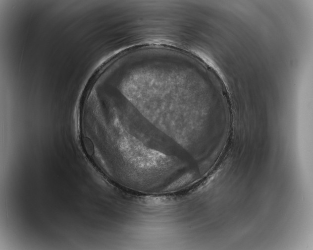 X0000088481032200706121527