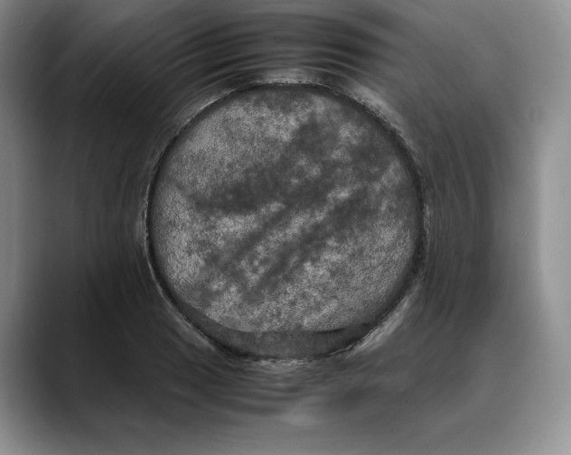 X0000088481033200706121527