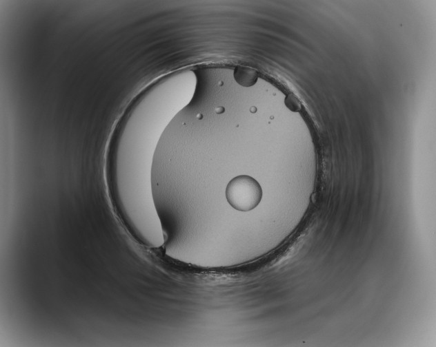X0000088481034200706121527