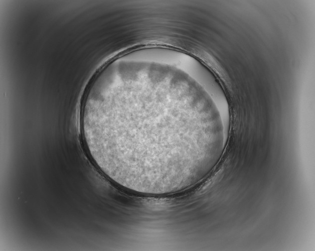 X0000088481036200706121527