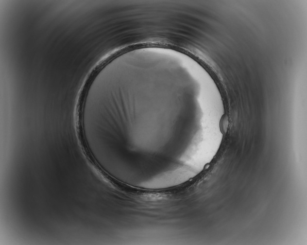 X0000088481037200706121527