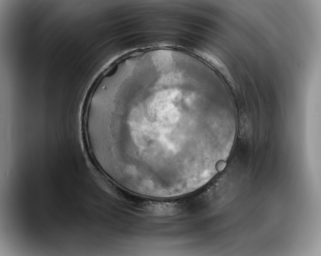 X0000088481039200706121527