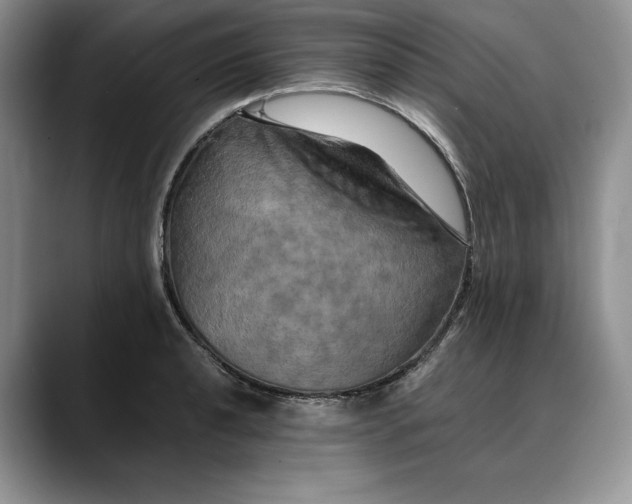 X0000088481040200706121527