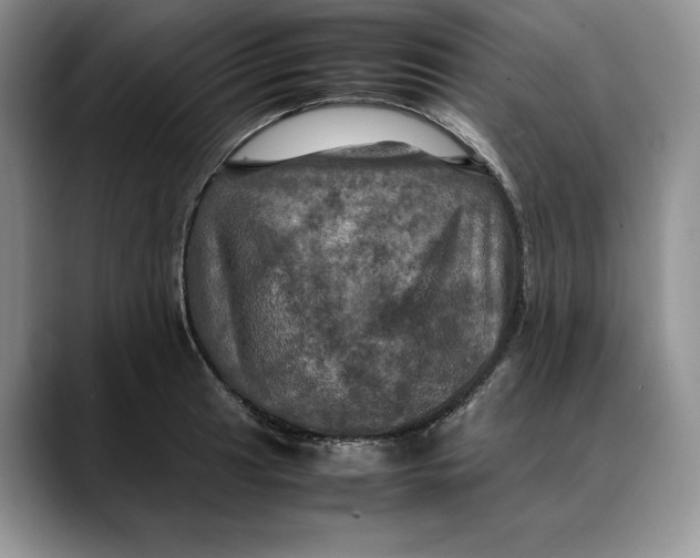 X0000088481041200706121527