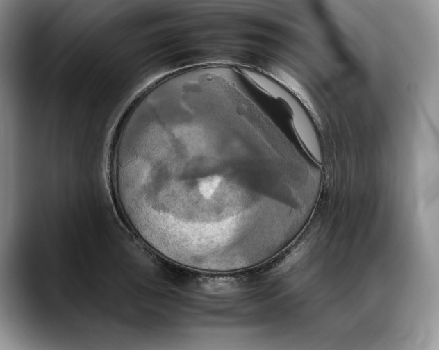 X0000088481043200706121527