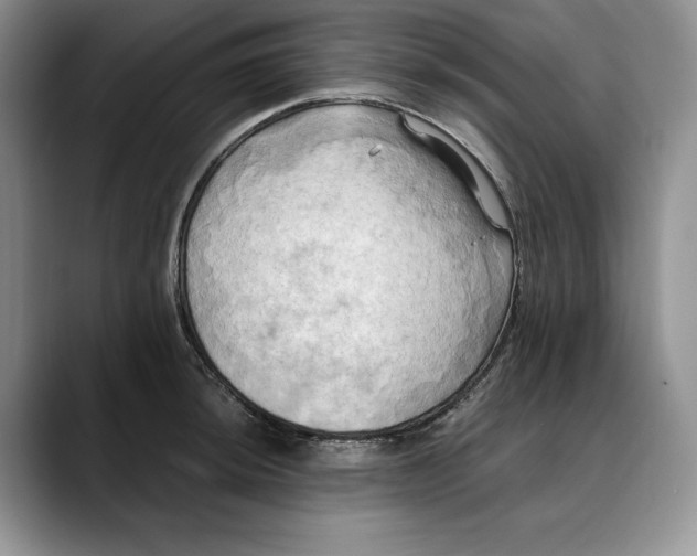 X0000088481044200706121527