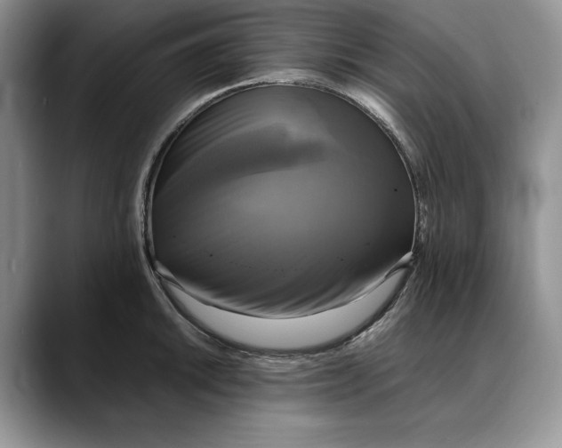 X0000088481046200706121527