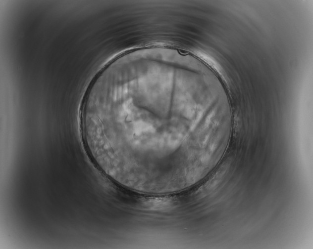 X0000088481047200706121527