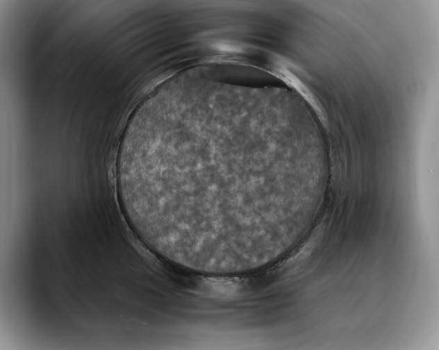 X0000088481049200706121527