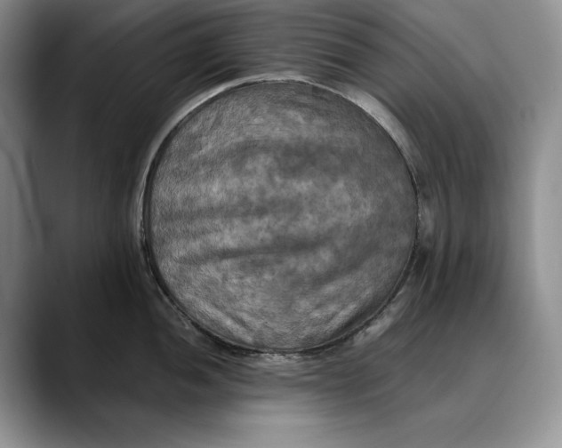 X0000088481052200706121527