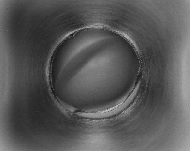 X0000088481054200706121527
