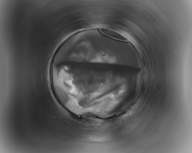 X0000088481055200706121527