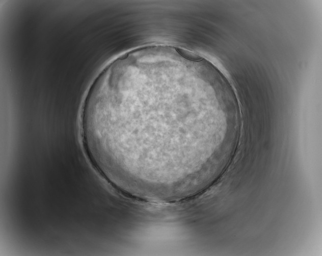 X0000088481056200706121527