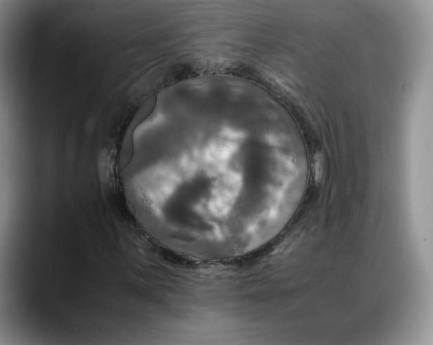 X0000088481059200706121527