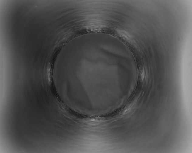 X0000088481060200706121527