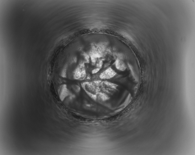 X0000088481063200706121527
