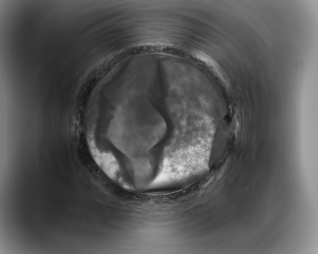 X0000088481064200706121527