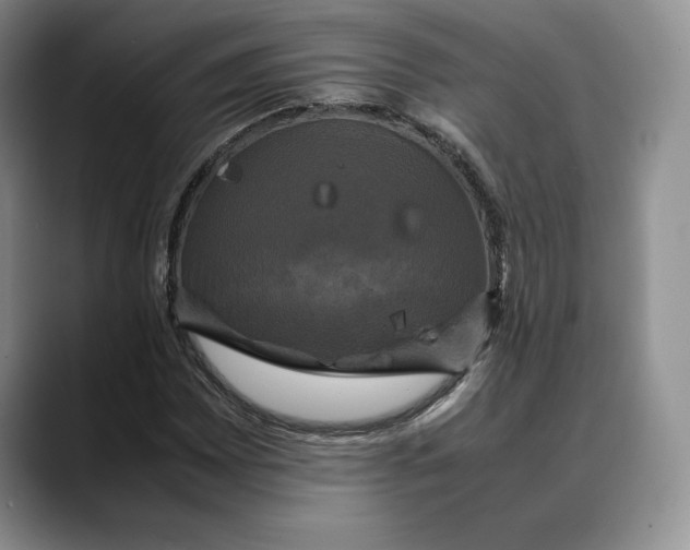 X0000088481065200706121527