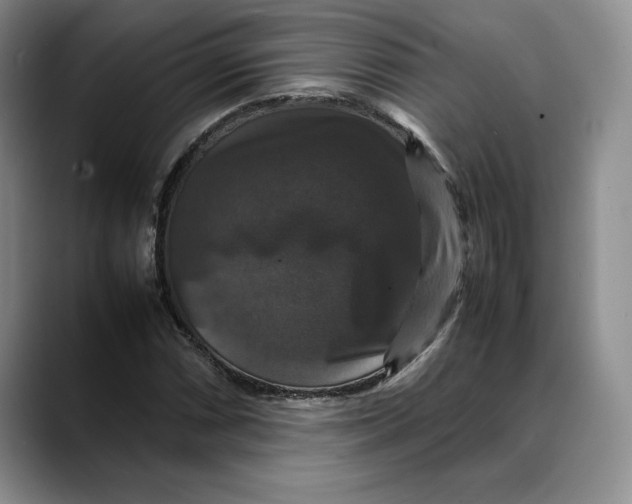 X0000088481066200706121527
