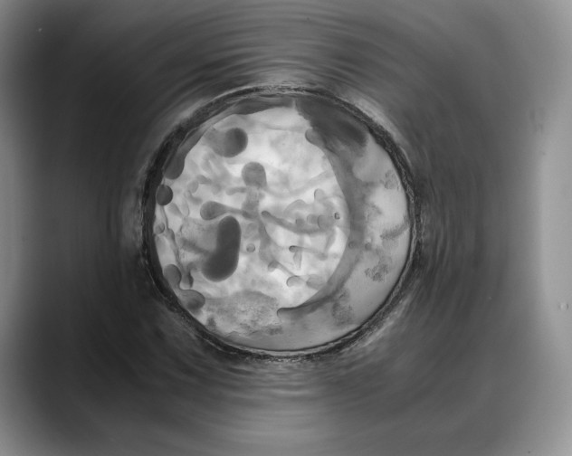 X0000088481067200706121527