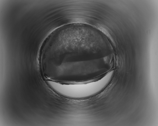 X0000088481068200706121527
