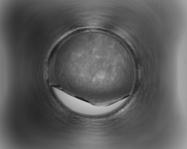 X0000088481069200706121527