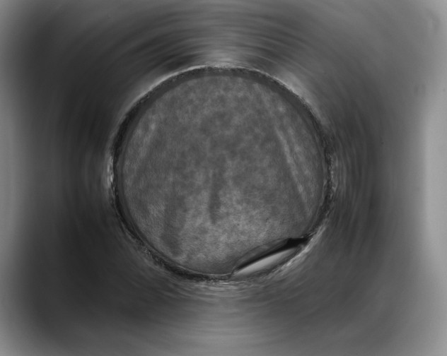 X0000088481070200706121526