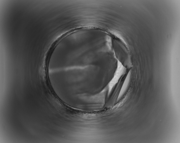 X0000088481071200706121526