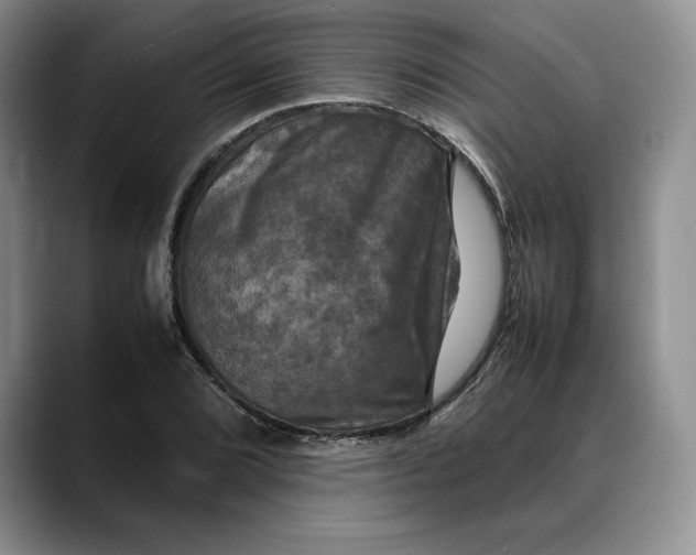 X0000088481072200706121526