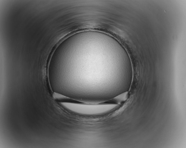 X0000088481073200706121526