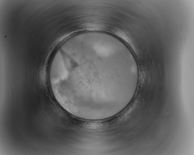 X0000088481074200706121526