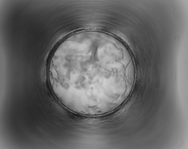 X0000088481075200706121526