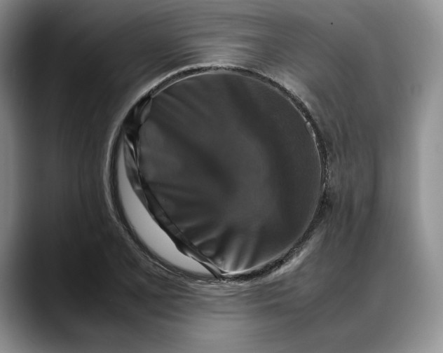 X0000088481077200706121526