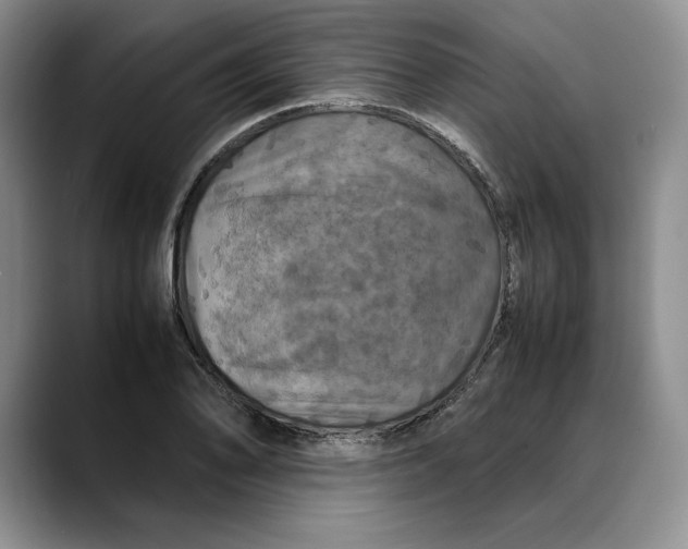 X0000088481078200706121526