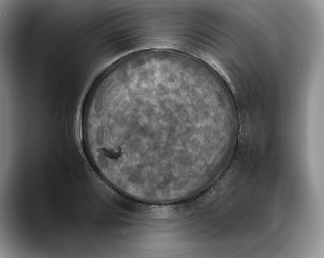 X0000088481080200706121526