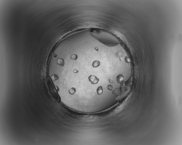 X0000088481081200706121526
