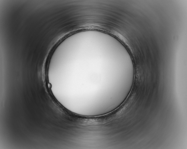 X0000088481082200706121526