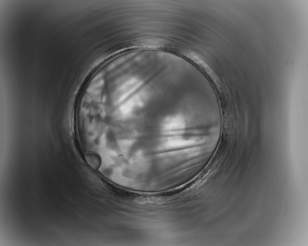 X0000088481083200706121526