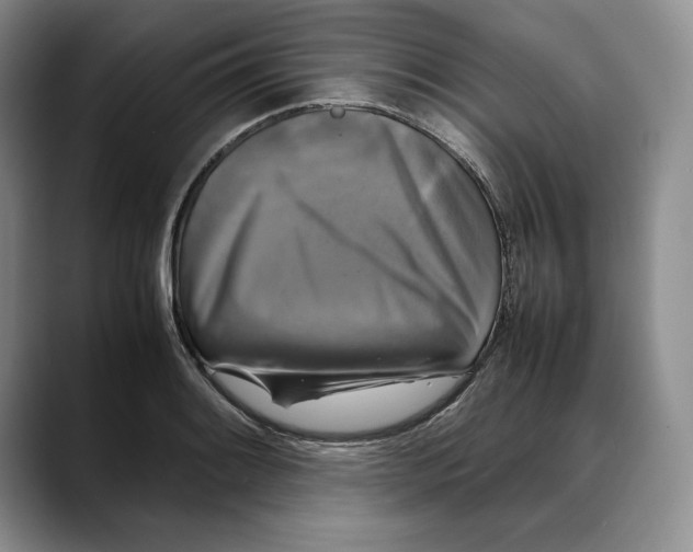 X0000088481084200706121526