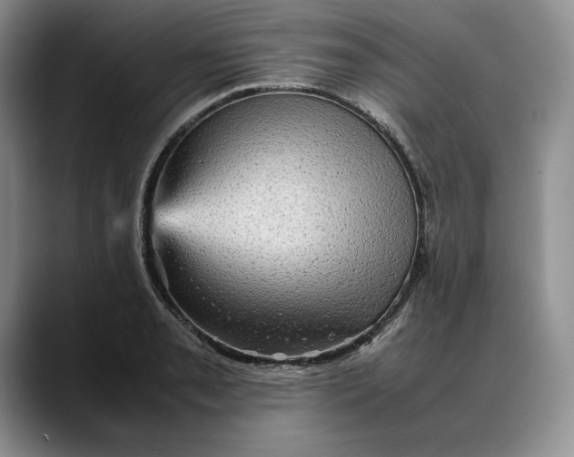 X0000088481085200706121526
