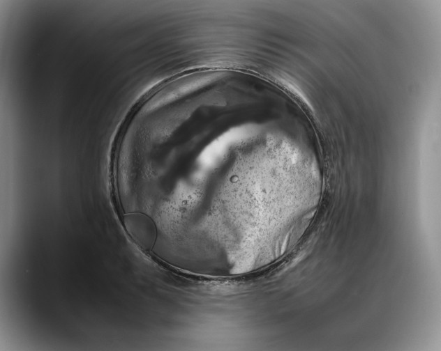 X0000088481087200706121526