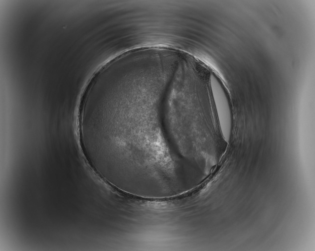 X0000088481088200706121526
