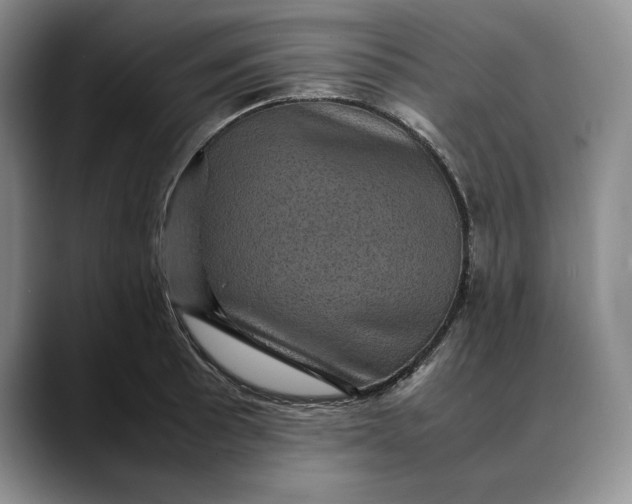 X0000088481089200706121526